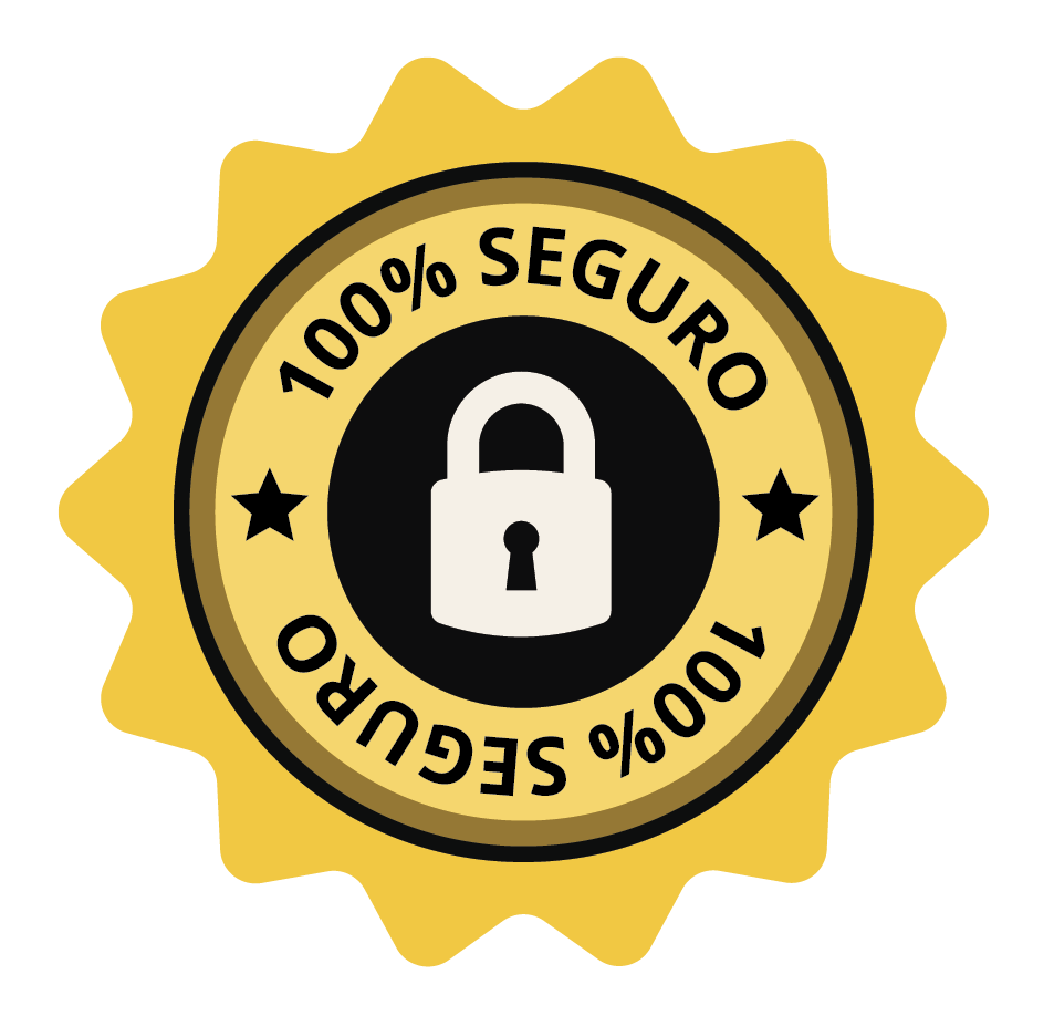 Selo de segurança Rapid SSL